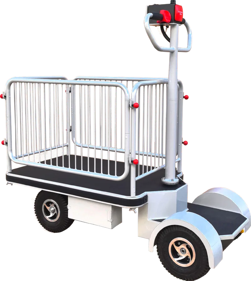 Plateforme motorisée HG-132B 400 kg by Stockman